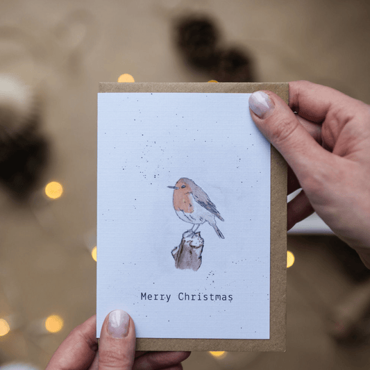 Robin Christmas Card